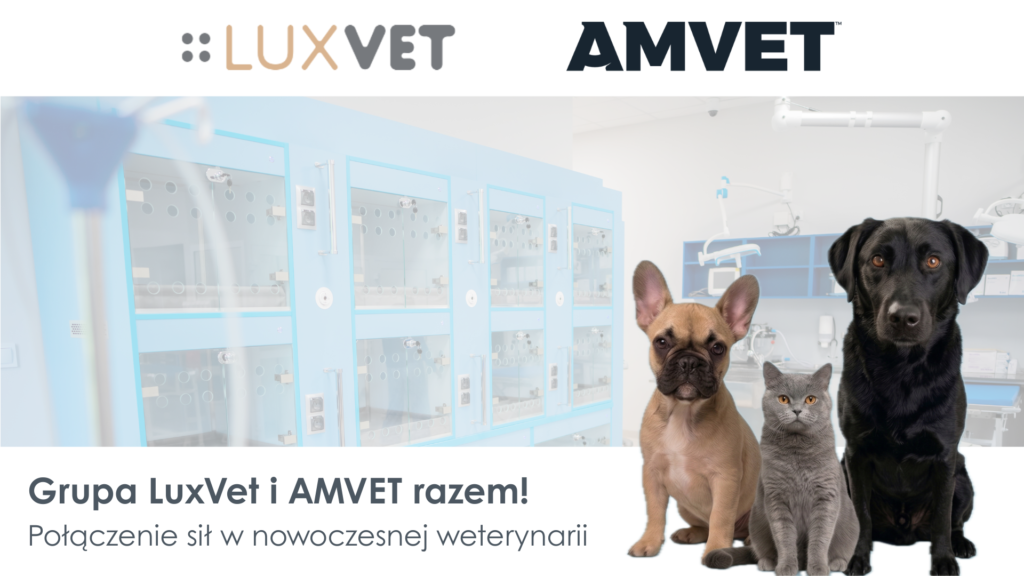 Połączenie sił w nowoczesnej weterynarii: Grupa LuxVet i AMVET razem!