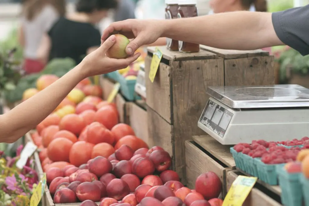 Umowa zlecenie 27 zł brutto – ile to netto? Kwota może zaskoczyć